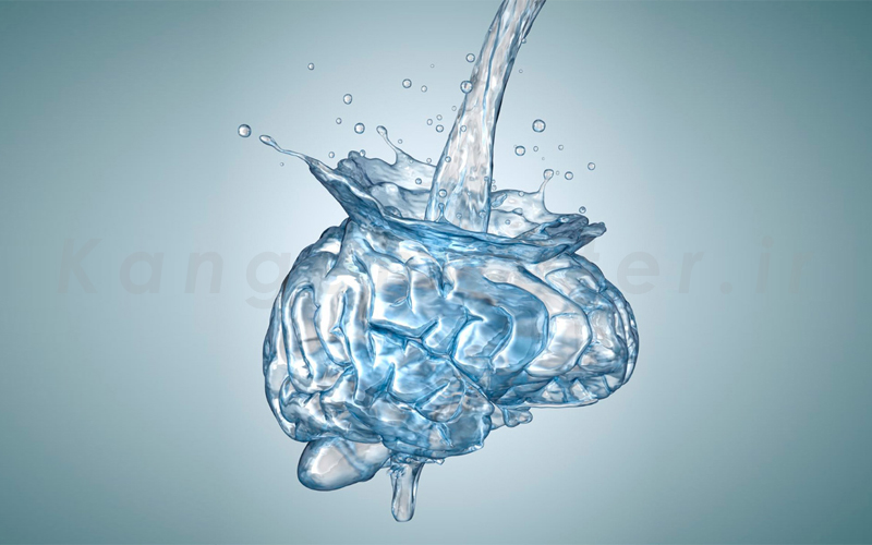 تفاوت کانگن